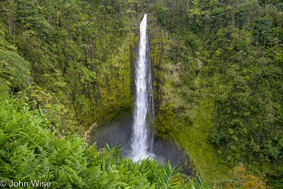 Akaka Falls State Park in Honomu, Hawaii