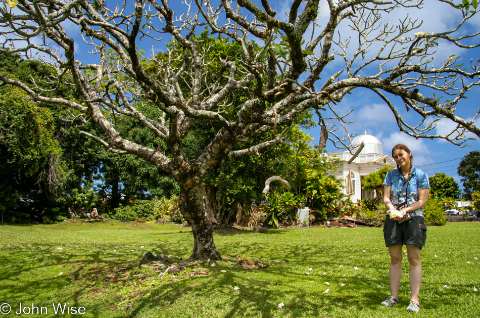 Caroline Wise in Honomu, Hawaii