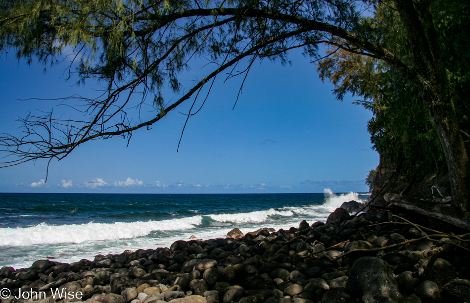 Somewhere off Highway 19 on the Big Island of Hawaii