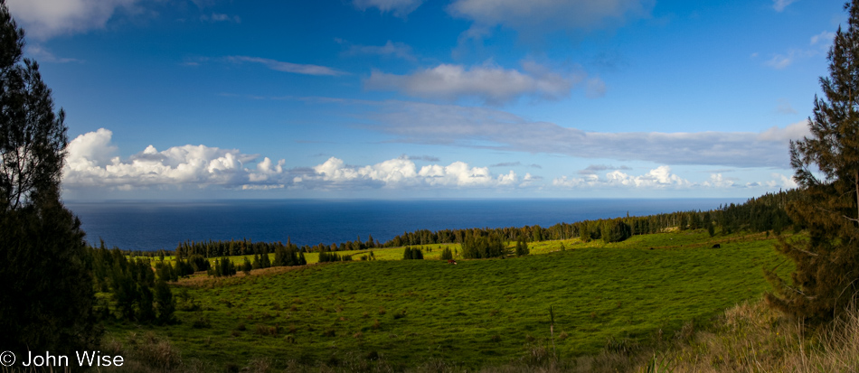 Pacific Ocean view near Honokaa, Hawaii