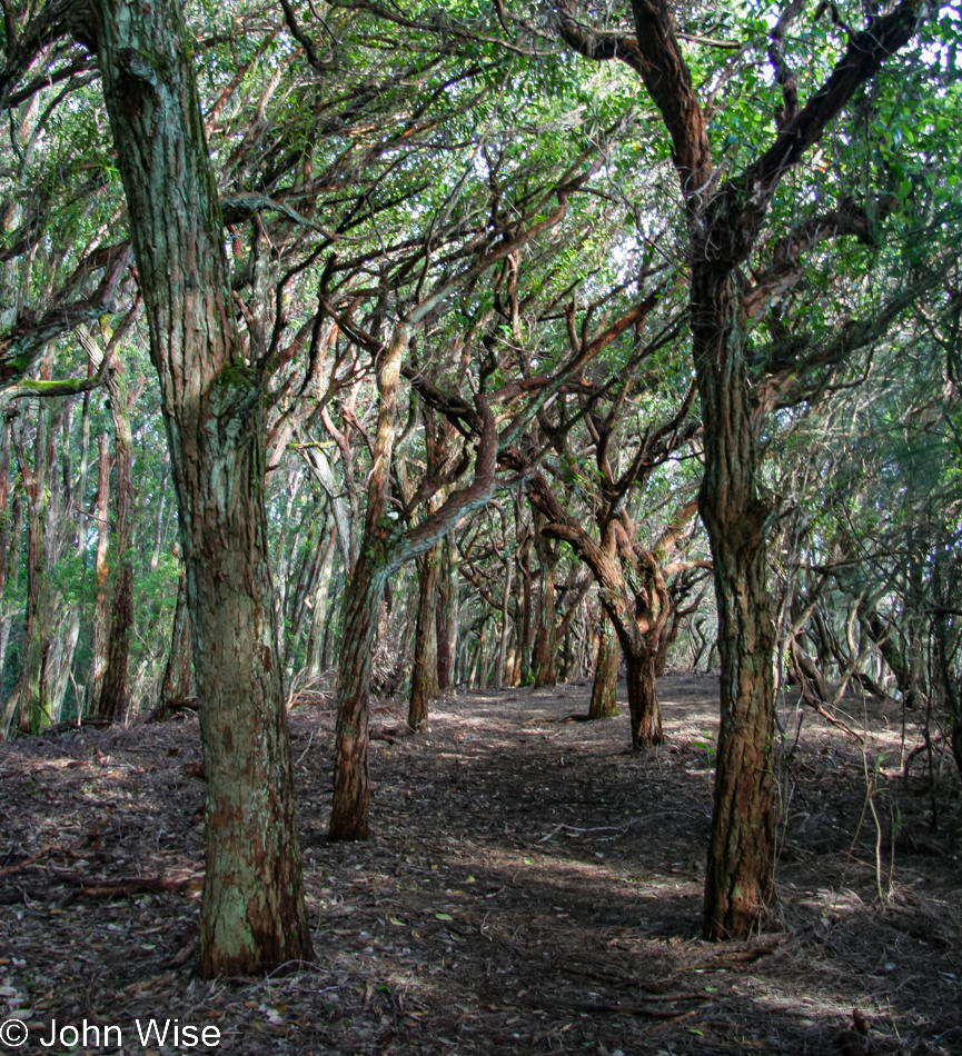 Molokai, Hawaii