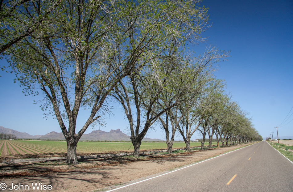 Somewhere on or near the Tohono O'odham Reservation in Arizona