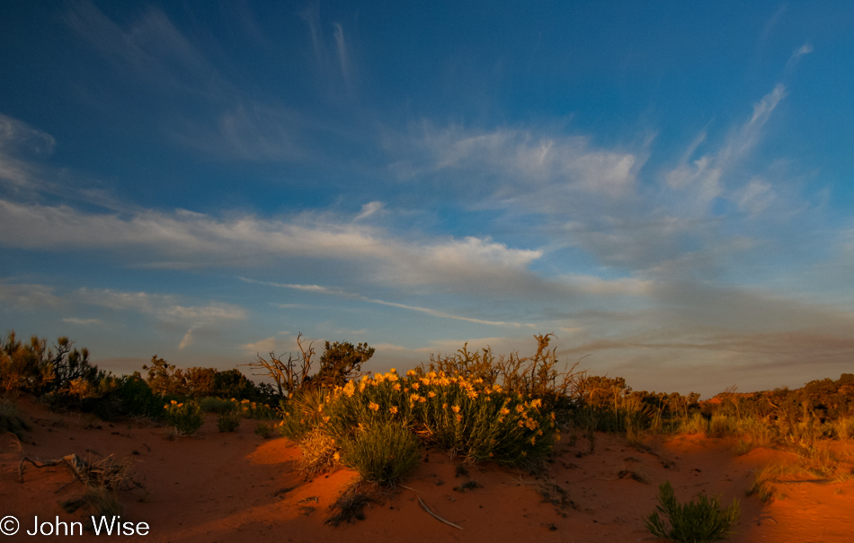 Coral Pink Sand Dunes near Kanab, Utah