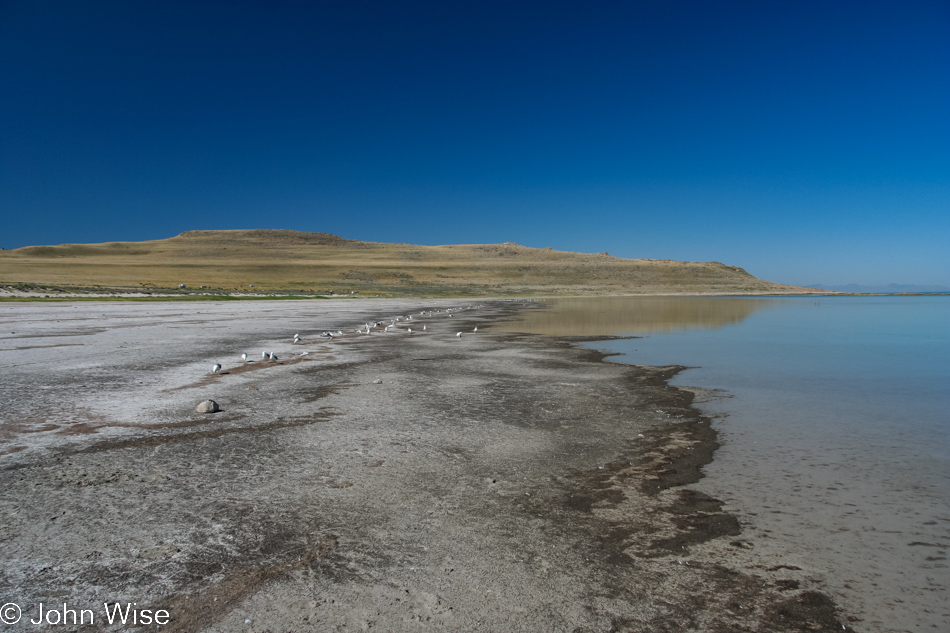 Antelope Island at the Great Salt Lake in Utah