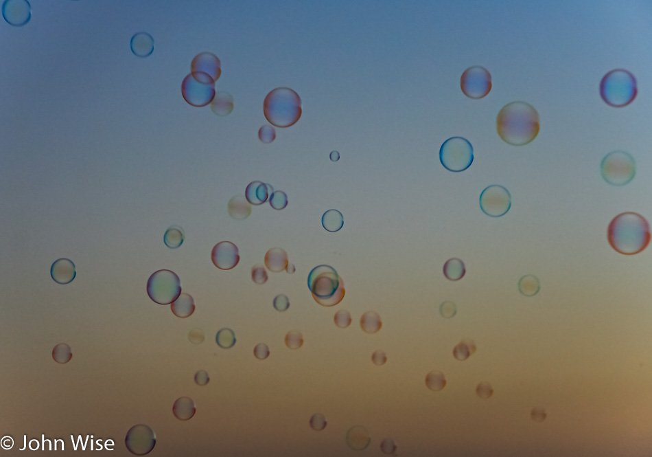 Soap bubble float in the late afternoon sky at Santa Monica Beach in California