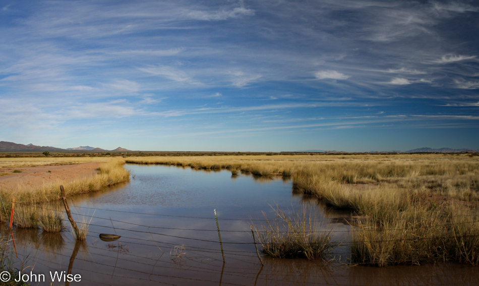 Near Willcox, Arizona