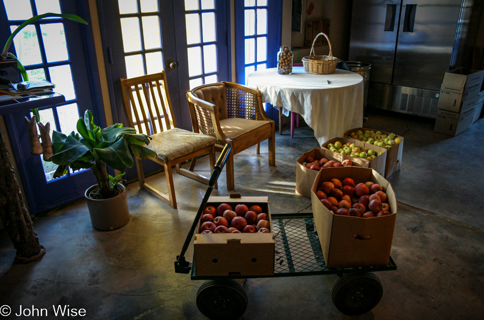 Brown's Orchard in Willcox, Arizona