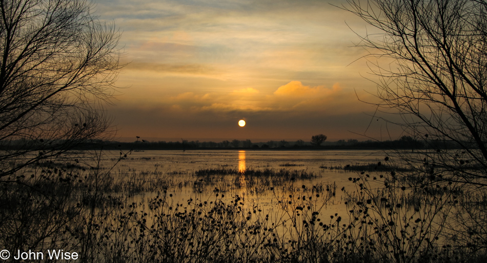 Sunrise at Bosque del Apache National Wildlife Refuge in New Mexico