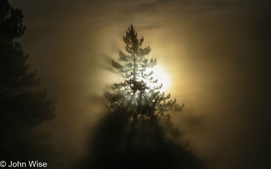 Yellowstone National Park in Wyoming