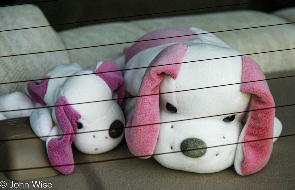 Stuffed animal toys in back window of car