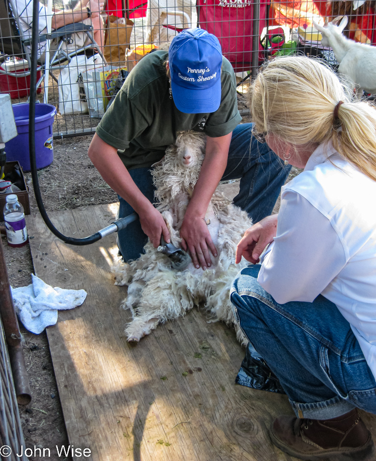 Fiber workshop in Amado, Arizona