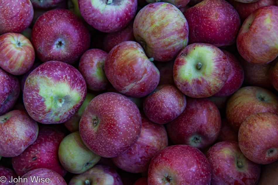 Brown's Orchard in Willcox, Arizona