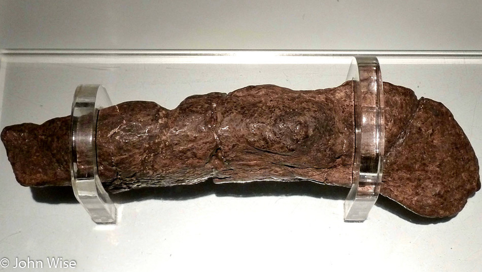 Lloyds_Bank_coprolite