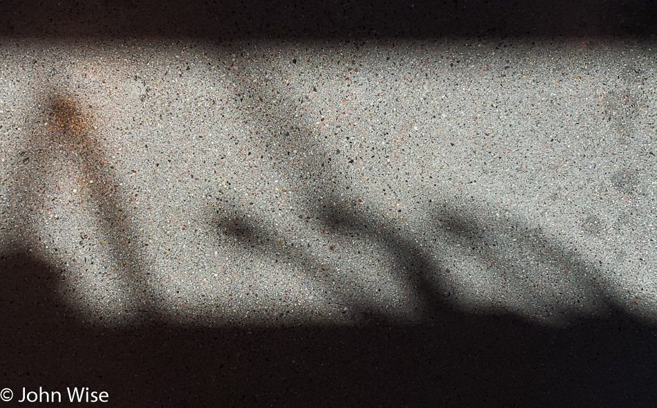 Shadows in the Coffee Shop