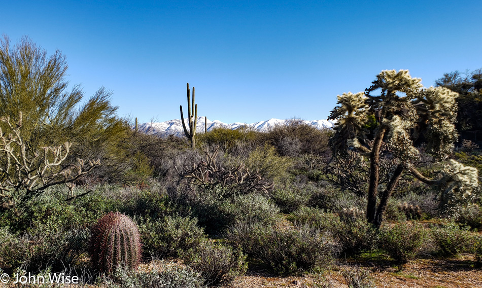 Snow encircled Phoenix, Arizona