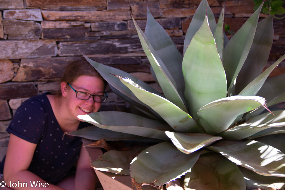 Kat in a Cactus at Desert Botanical Garden in Phoenix, Arizona