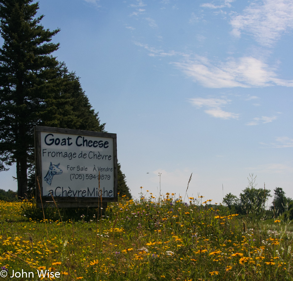 Goat cheese for sale near Verner in Ontario Canada