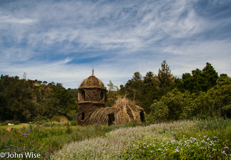 Santa Barbara Botanic Garden in California