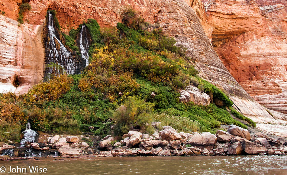 Vasey's Paradise on the Colorado River in the Grand Canyon