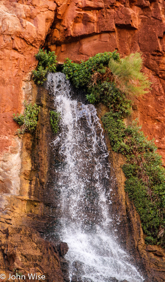 Vasey's Paradise on the Colorado River in the Grand Canyon