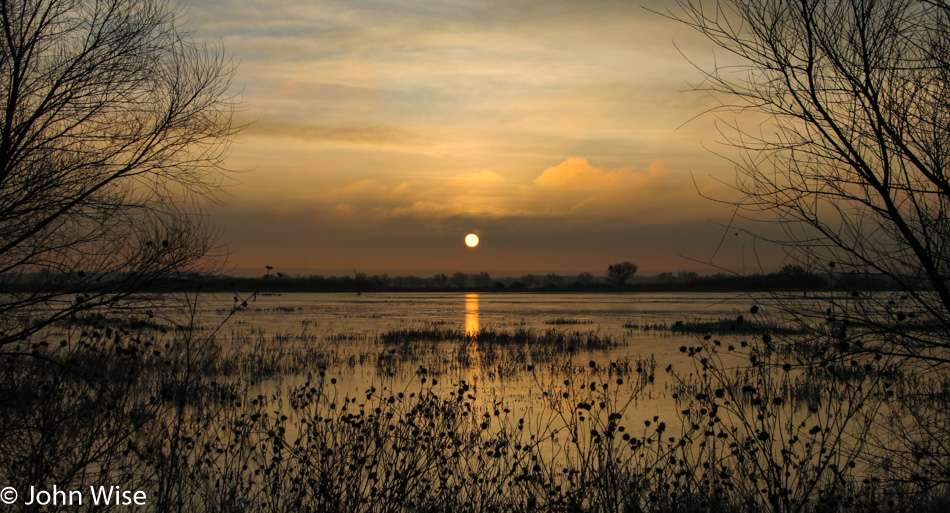 Bosque del Apache Wildlife Refuge in Socorro, New Mexico