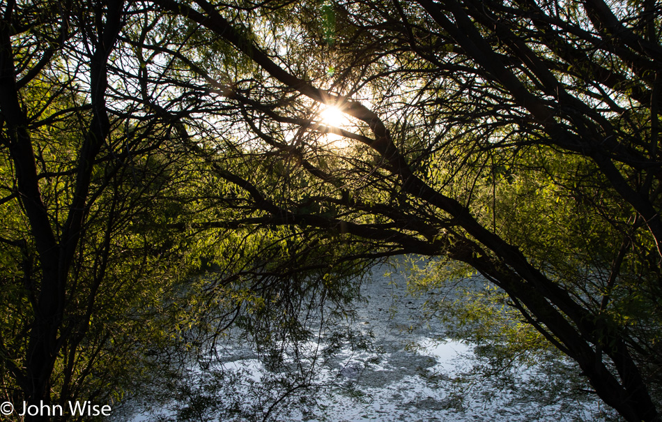 Barrier Free Nature Trail in Phoenix, Arizona