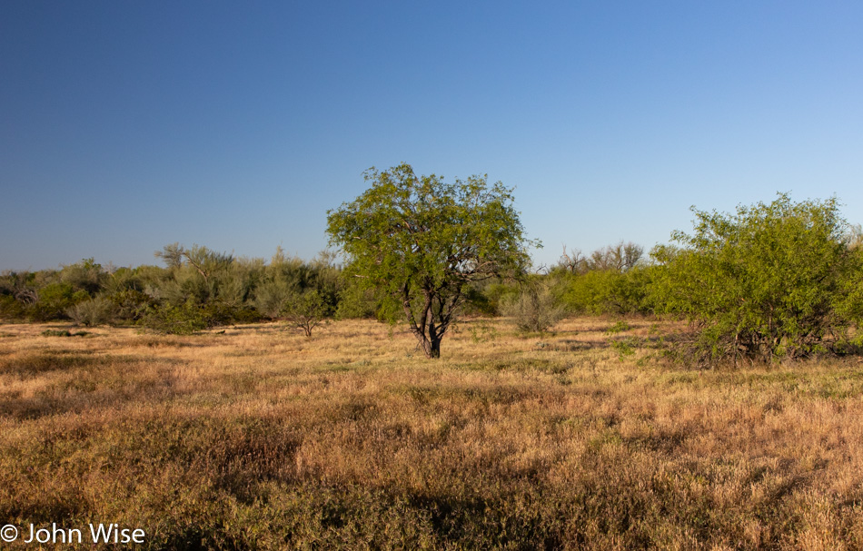 Barrier Free Nature Trail in Phoenix, Arizona