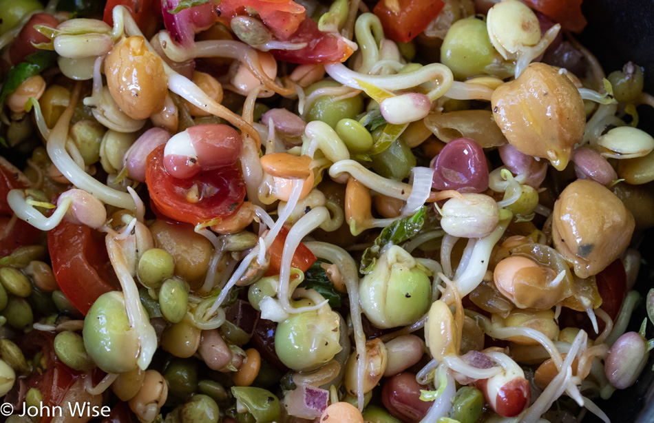 Sprouted bean salad