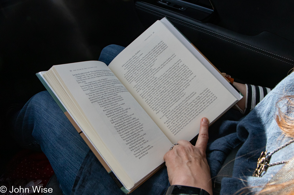 Reading in the car