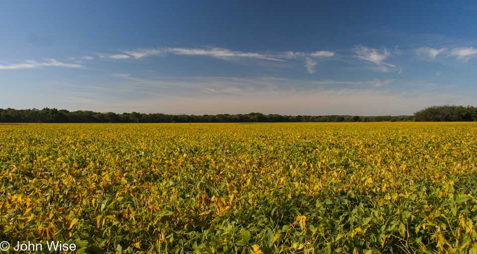 Rural countryside near Harveyville, Kansas