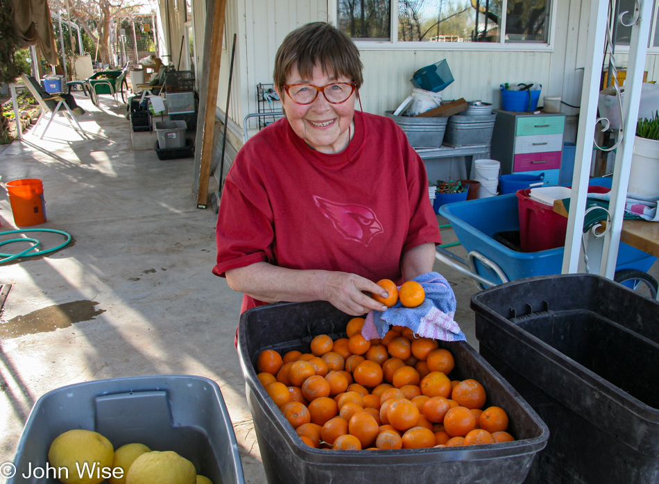 Jutta Engelhardt at Tonopah Rob's Vegetable Farm in Arizona