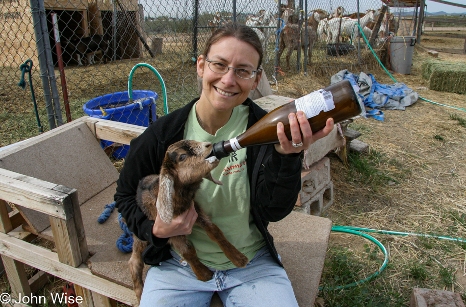 Caroline Wise feeing a goat at Chile Acres in Tonopah, Arizona