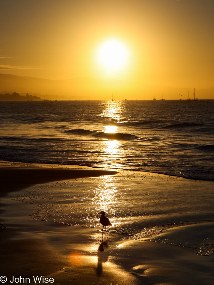 Coast of Santa Barbara, California