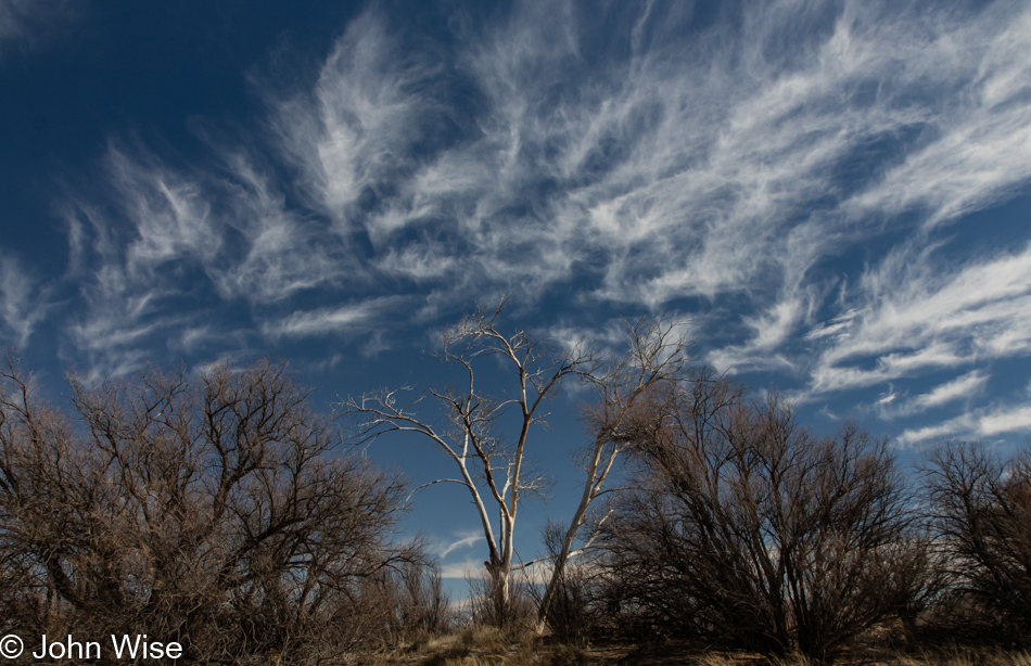 Willcox Playa in Willcox, Arizona