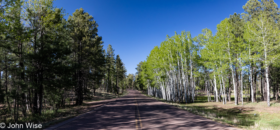 Somewhere off AZ Highway 260 west of Payson, Arizona