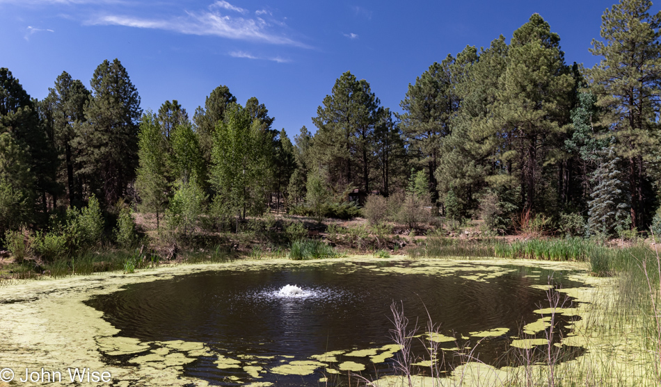 Arboretum in Flagstaff, Arizona