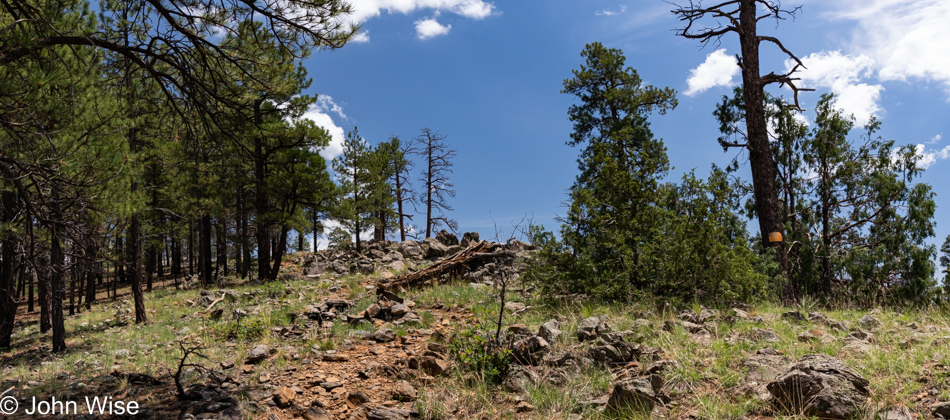 Sycamore Rim Trail in Williams, Arizona