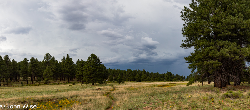 Sycamore Rim Trail in Williams, Arizona