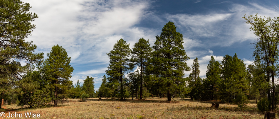 Walnut Creek via AZT Walnut Canyon in Flagstaff, Arizona