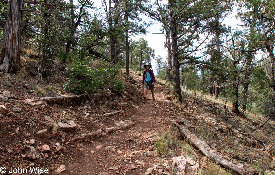 Caroline Wise at the Walnut Creek via AZT Walnut Canyon Trail in Flagstaff, Arizona