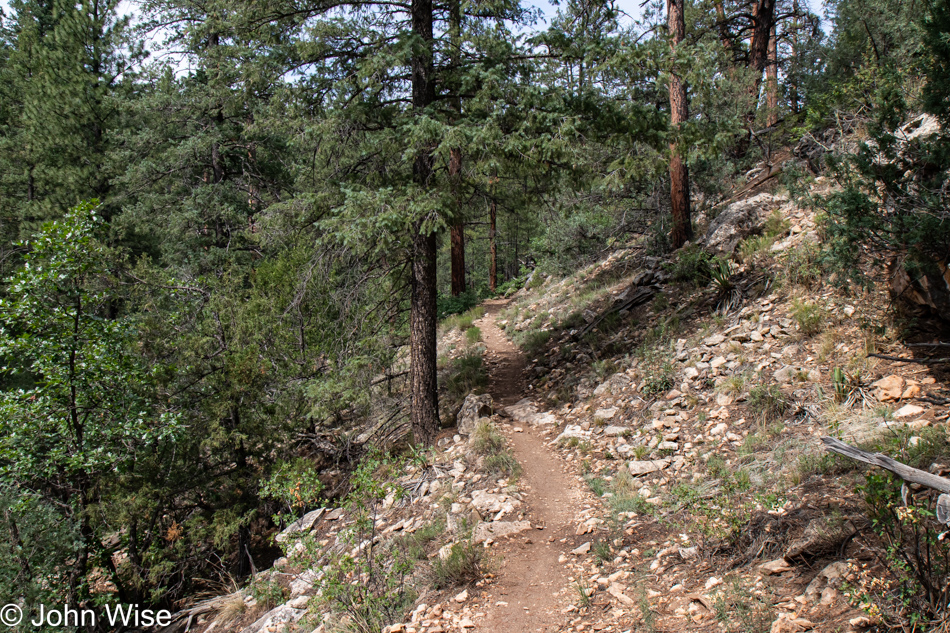 Walnut Creek via AZT Walnut Canyon in Flagstaff, Arizona