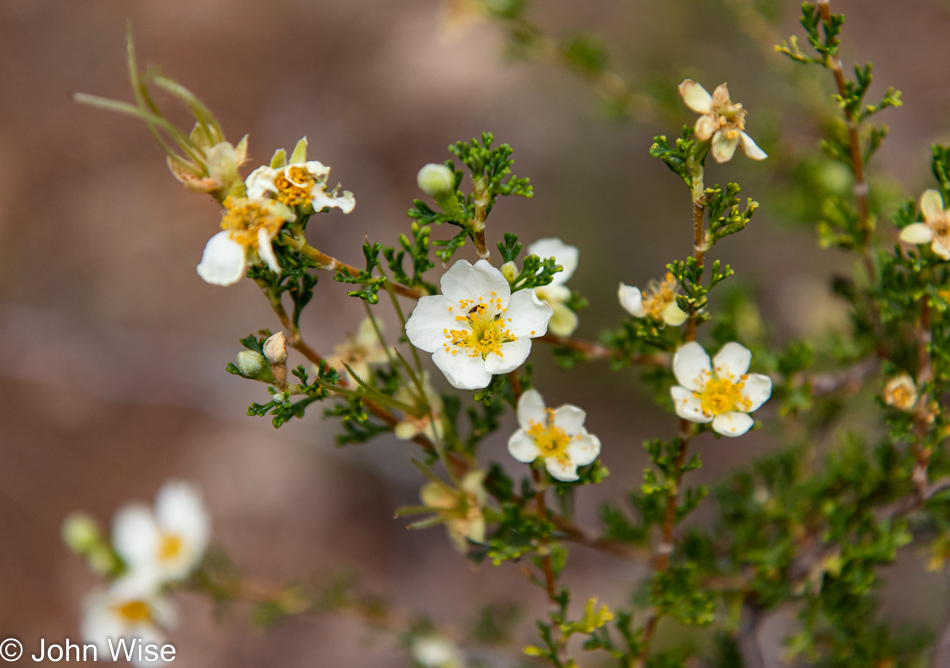 Walnut Creek via AZT Walnut Canyon in Flagstaff, Arizona