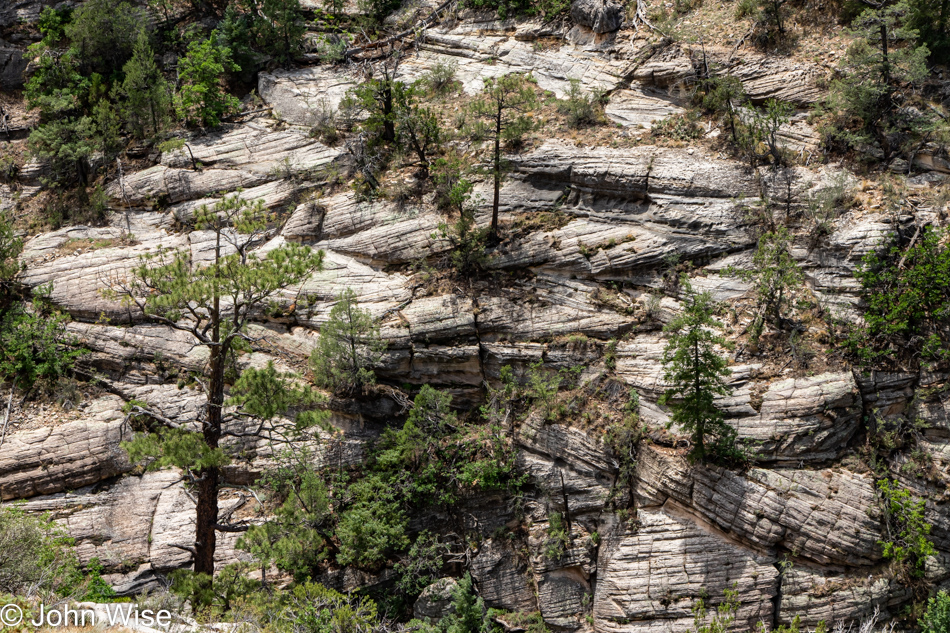 Walnut Canyon National Monument in Flagstaff, Arizona