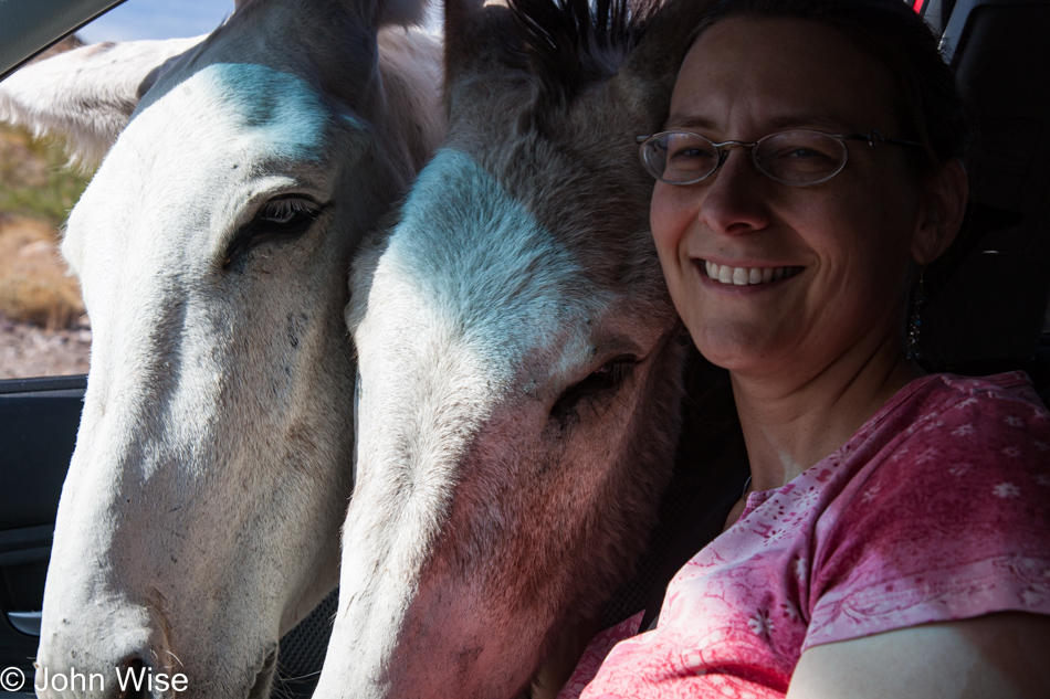 Caroline Wise in Oatman, Arizona