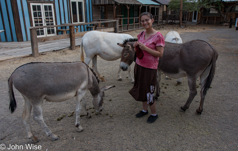 Caroline Wise in Oatman, Arizona on Knitting in Public Day