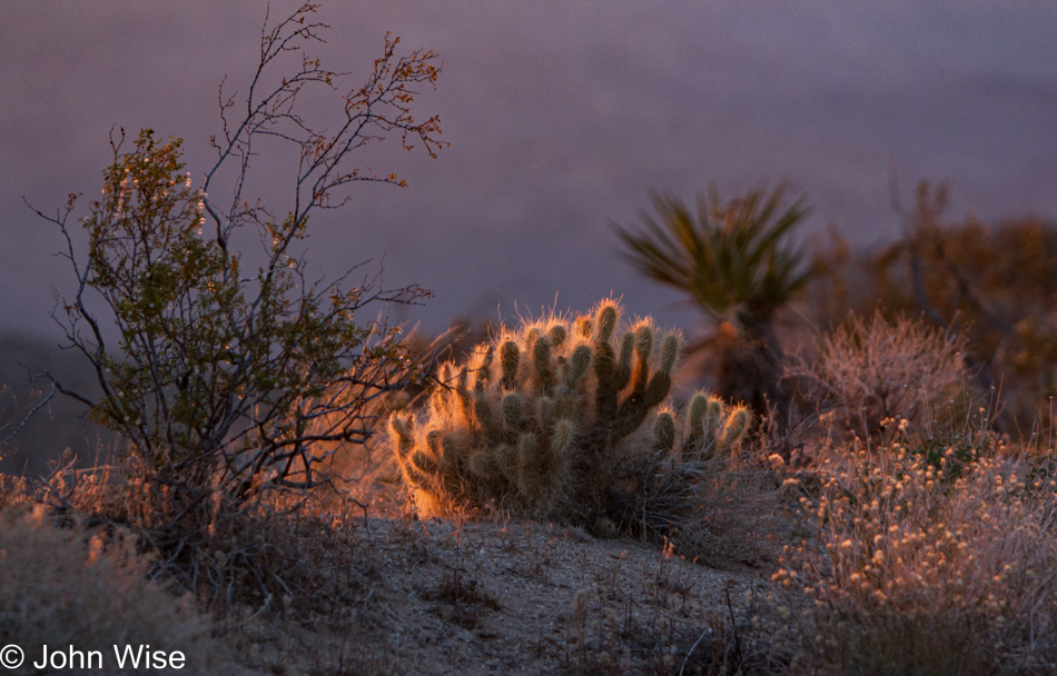 On Pierce Ferry Road to Meadview, Arizona