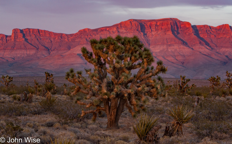 On Pierce Ferry Road to Meadview, Arizona