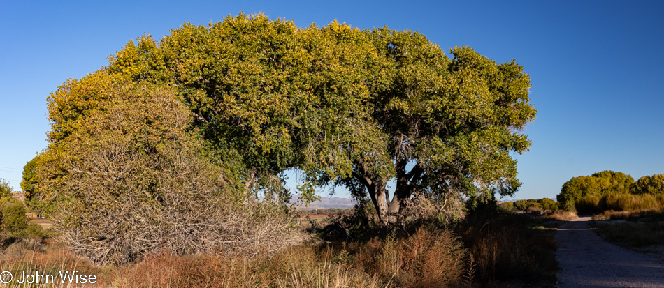 Near the Gila River in Duncan, Arizona