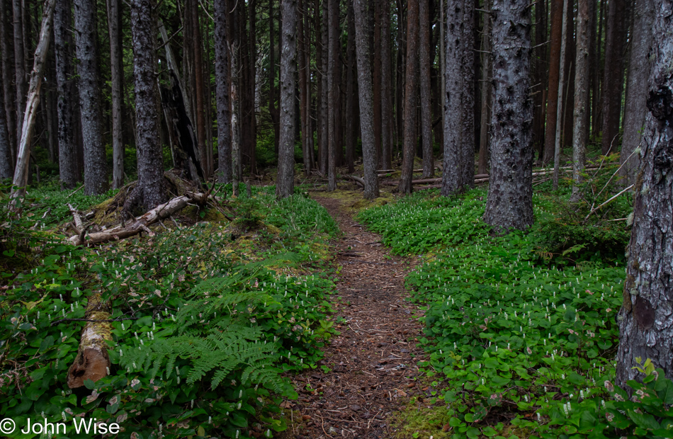 Oregon Coast Trail in Depoe Bay, Oregon