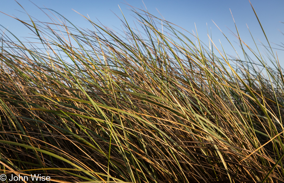 Salishan Coastal Trail in Lincoln City, Oregon